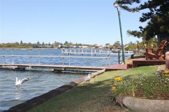 Black Swan Waterfront Motel (Adults Only) Swansea Bagian luar foto